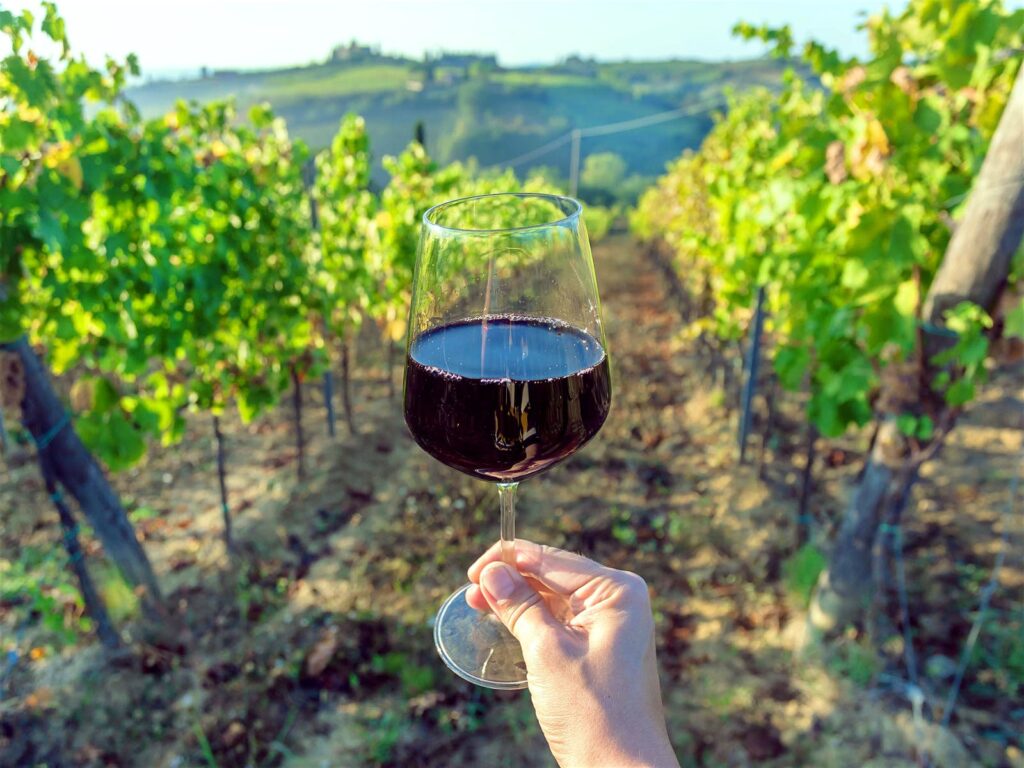 Бокал красного вина на винограднике