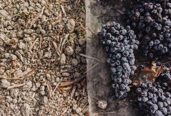 Увяленный виноград