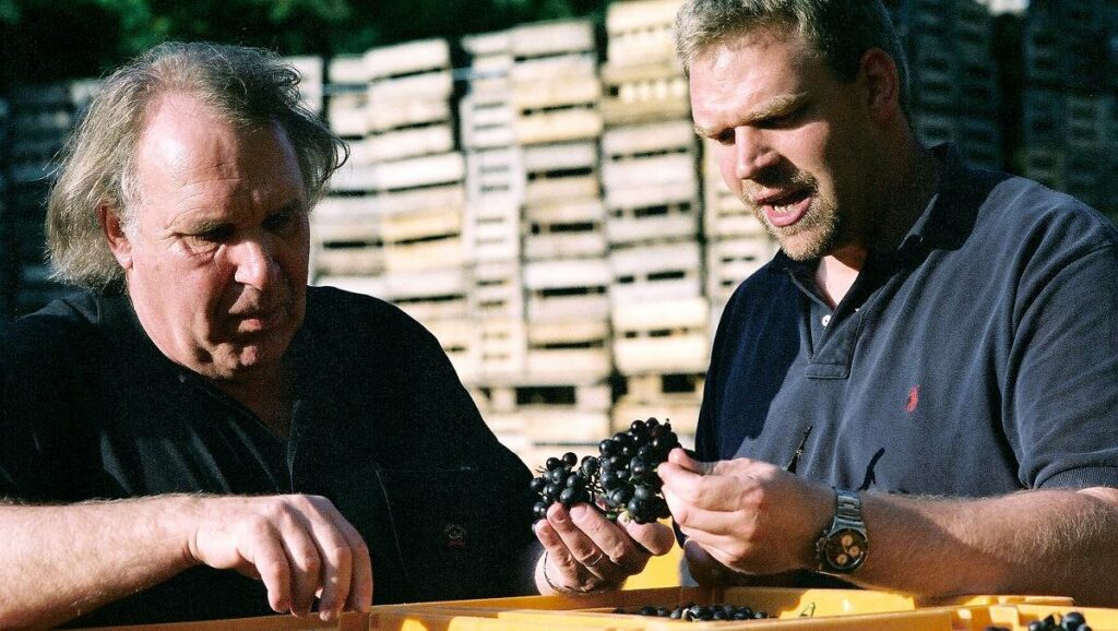 Александр Штодден оценивает качество винограда