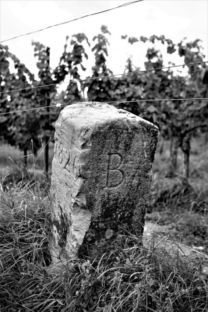 Буква "Б" на пограничном столбе в винограднике обозначает Баварию, которой когда-то принадлежал Пфальц.