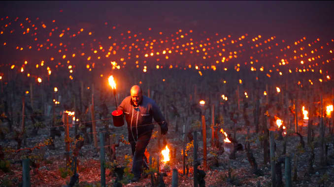 Огни на виноградниках