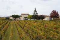 Фото Chateau du Courneau