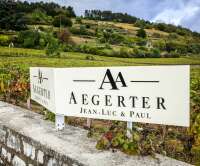 Фото Aegerter