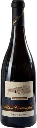 Фото Trentino DOC Maso Cantanghel Pinot Nero