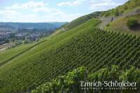 Фото Emrich-Schonleber